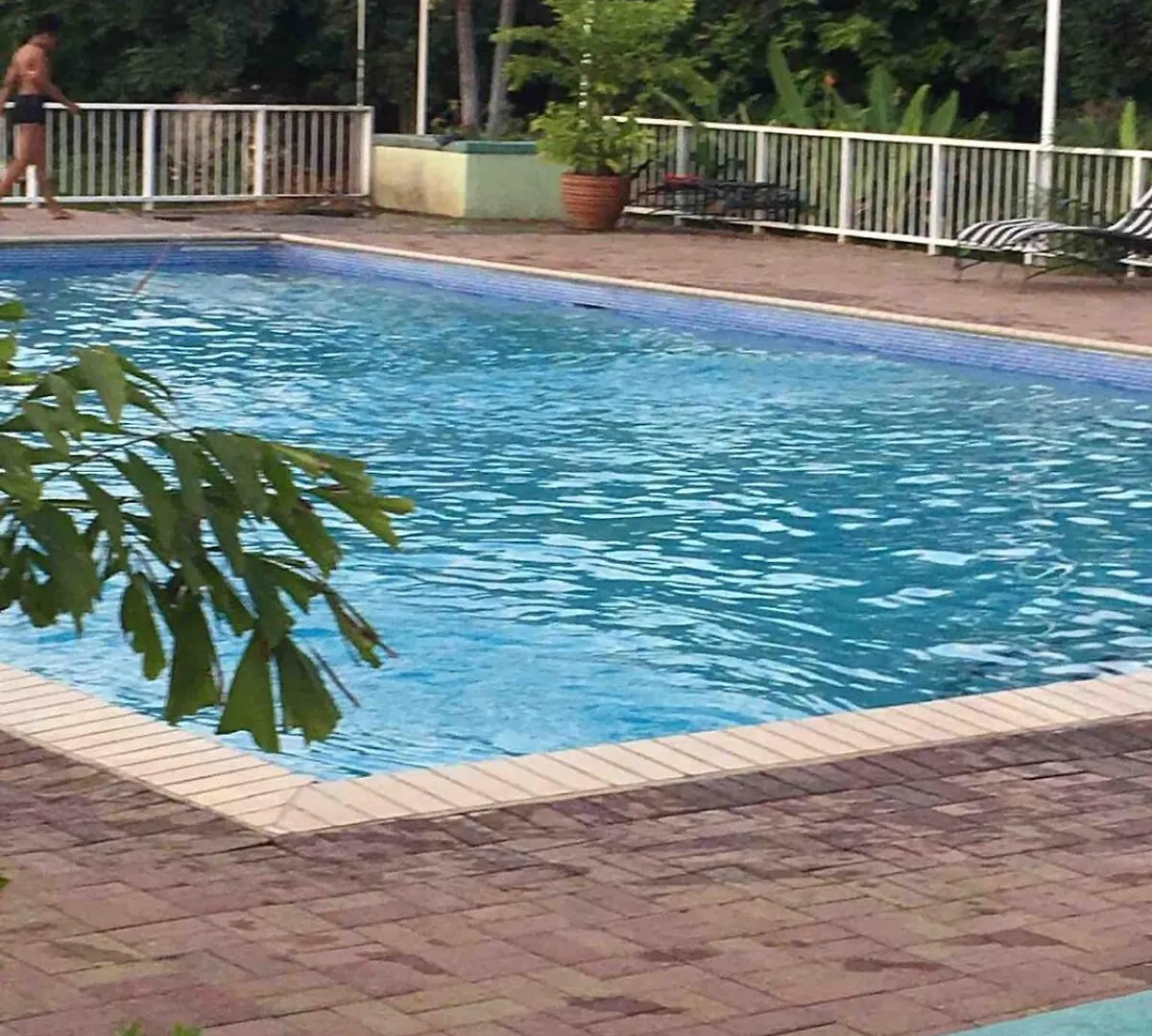 Kingston Serenity Suite - 2Br Gated Escape With Pool Holiday home